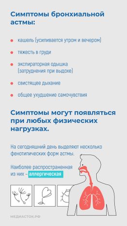 Бронхиальная астма вертикаль 04