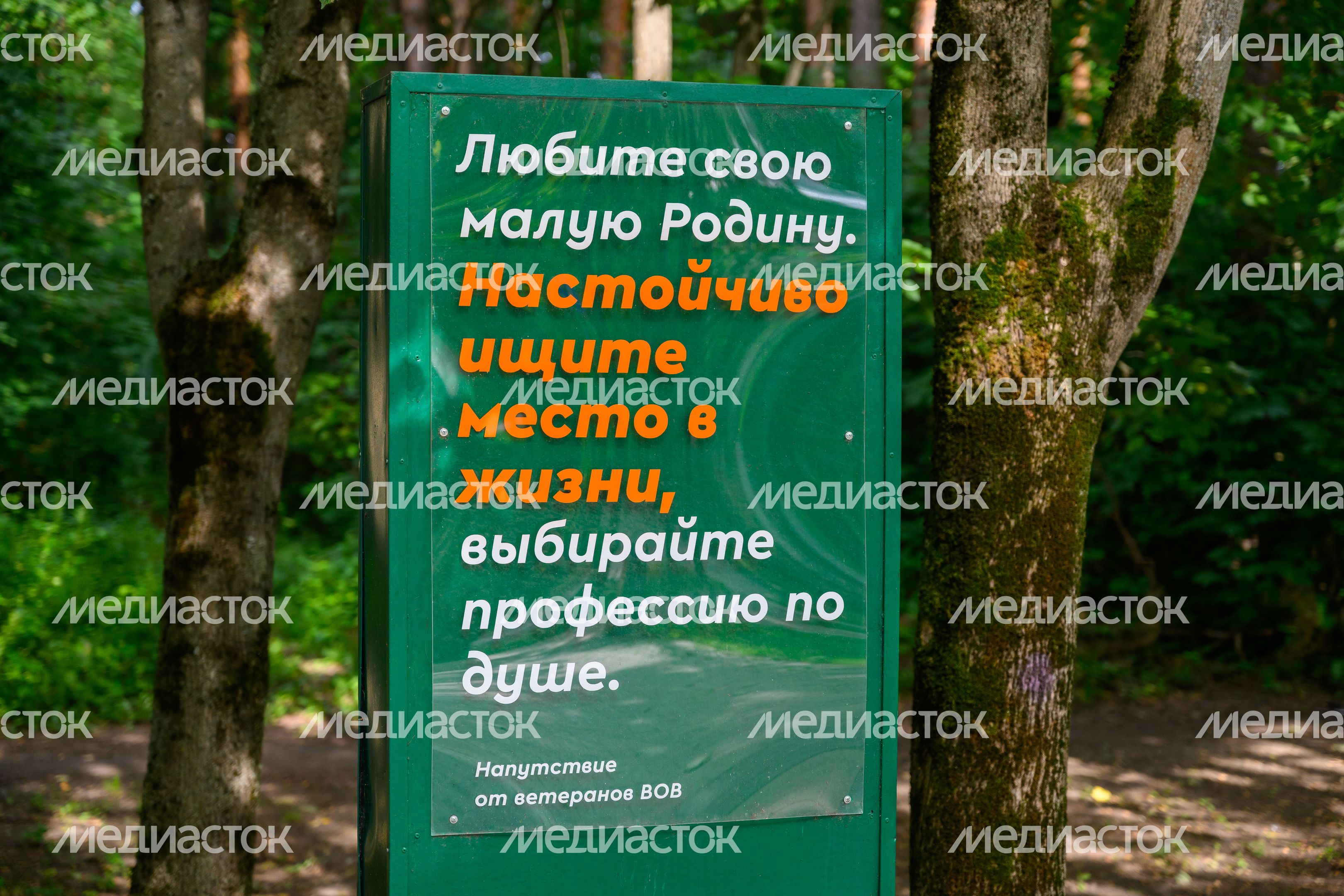 Аллея Победы в Балашихе