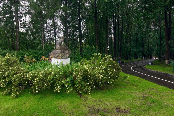 Городской парк культуры и отдыха в Солнечногорске