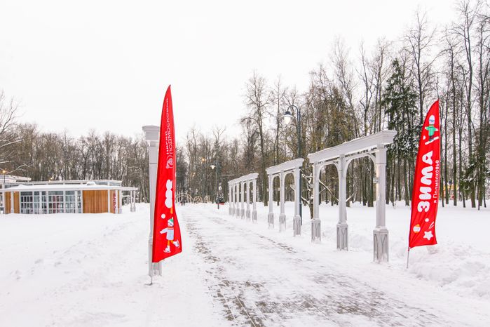 Воскресенск. Усадьба Кривякино. Зима