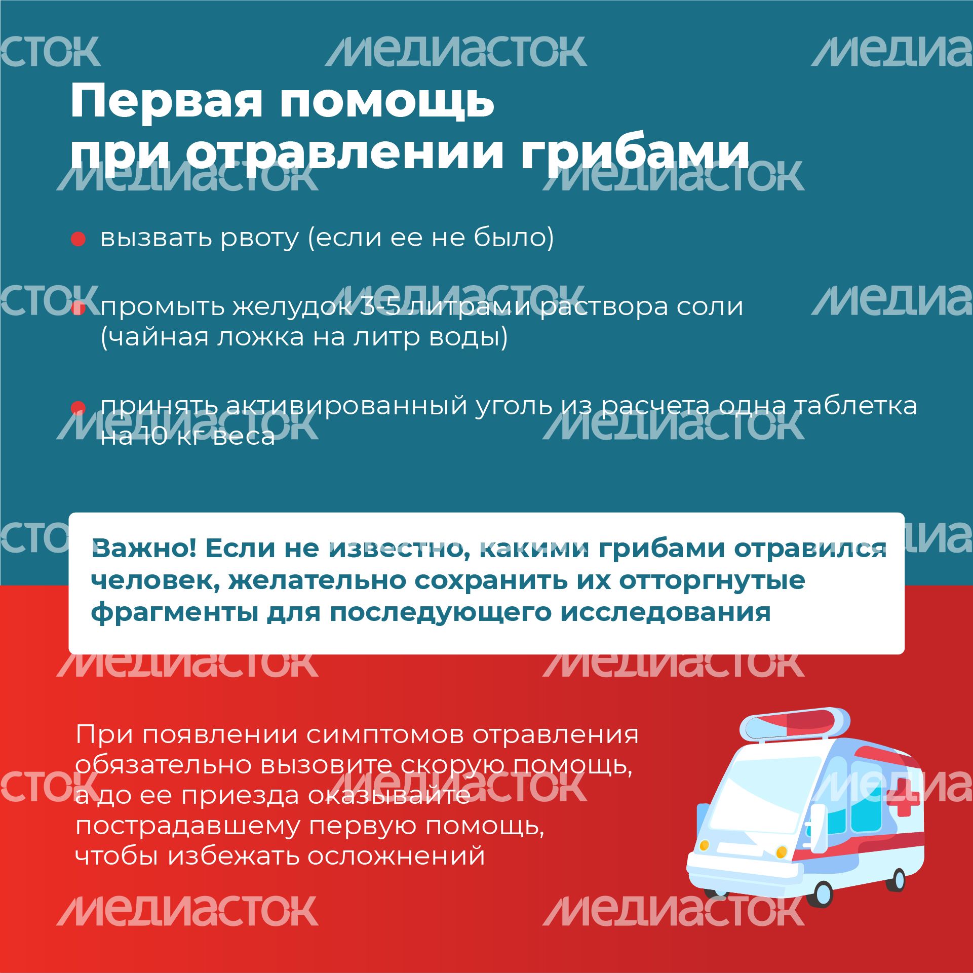 01 Квадрат_грибы_09-100