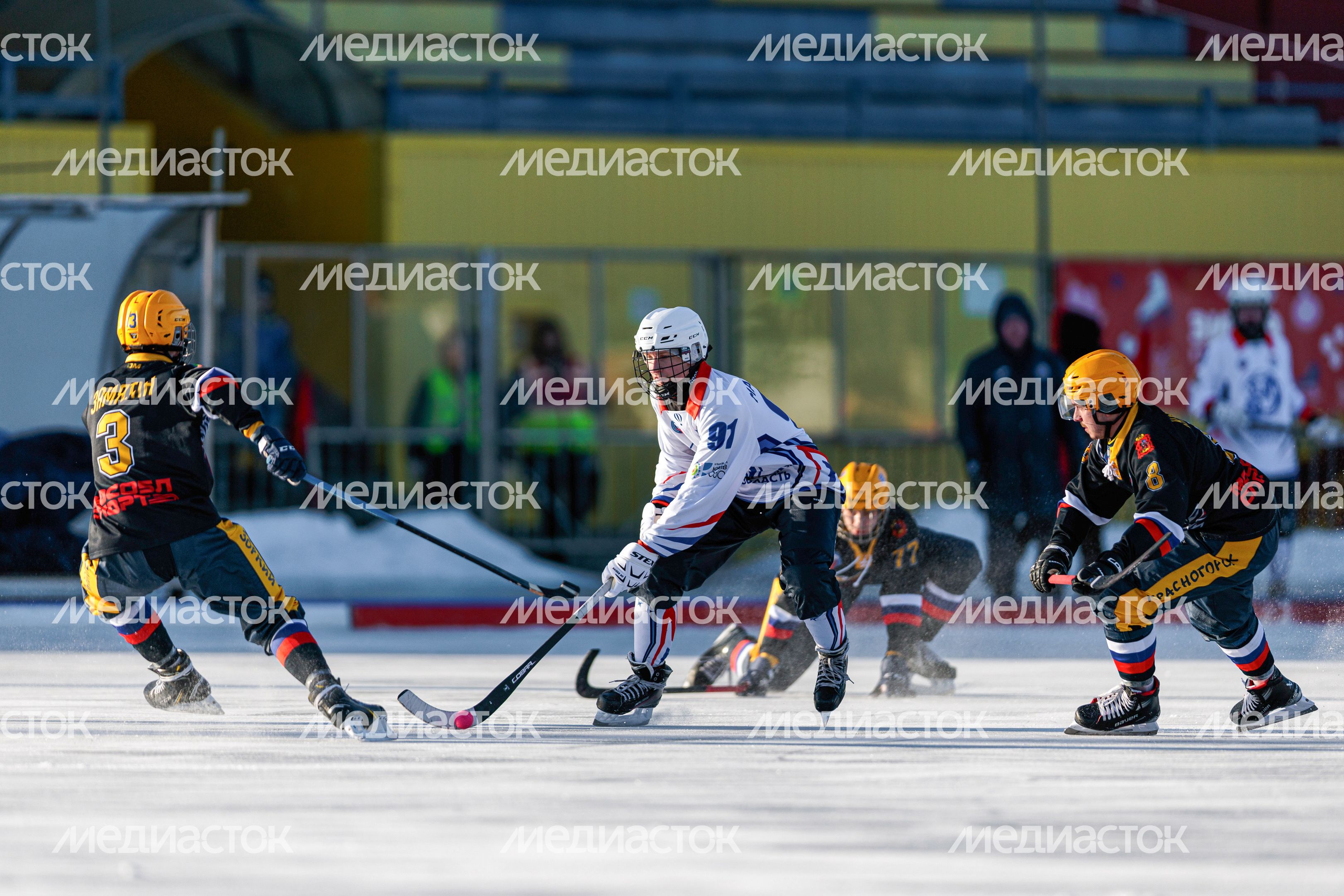 Чемпионат России по хоккею с мячом в Красногорске Чемпионат России по хоккею с мячом в Красногорске