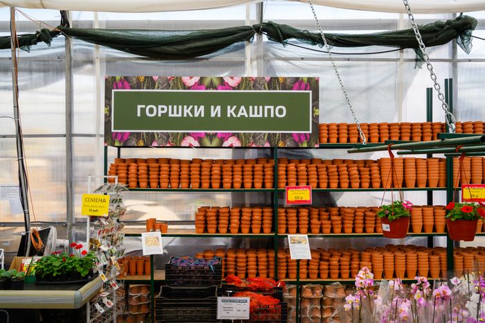 Рассада и цветы в горшках в садовом центре агрокомплекса «Цветком» в Раменском округе