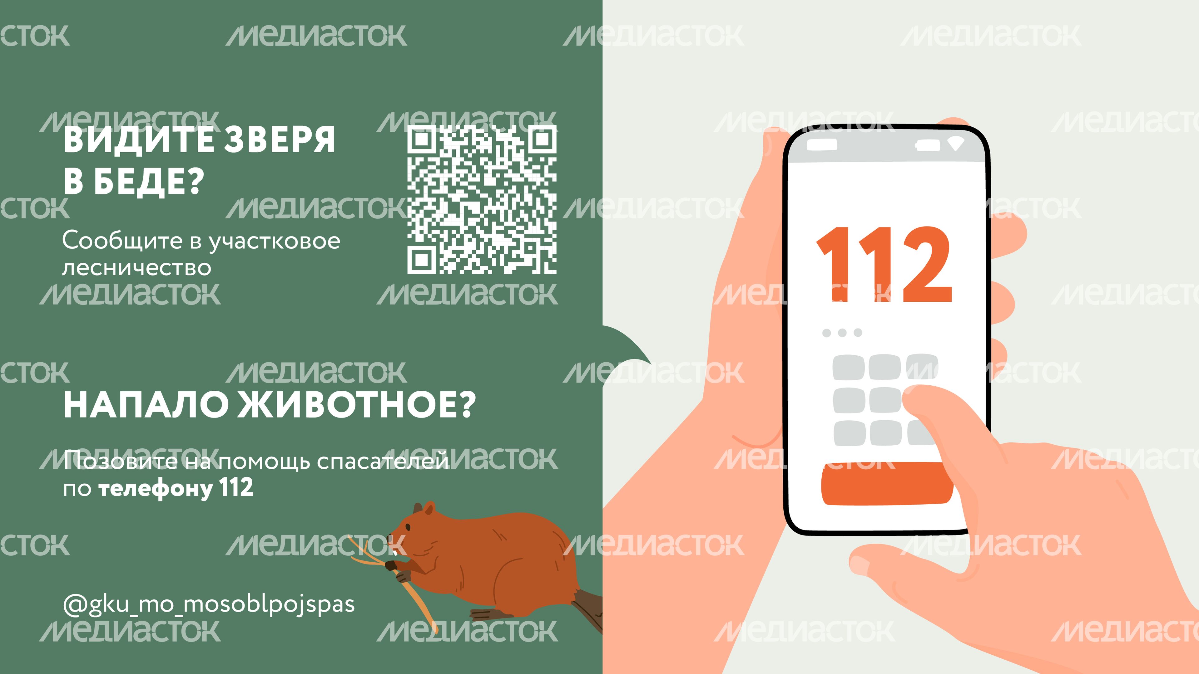 Горизонтали Безопасность в лесу 07.jpg