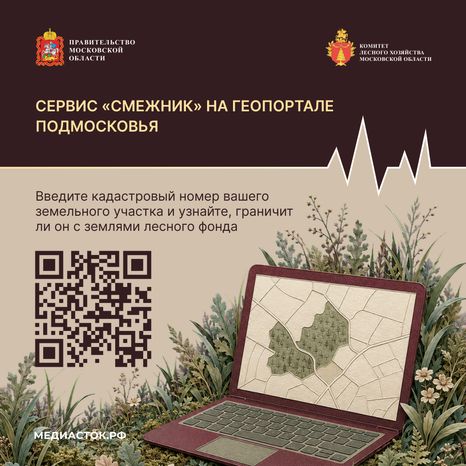 Живете рядом с лесом квадрат 07