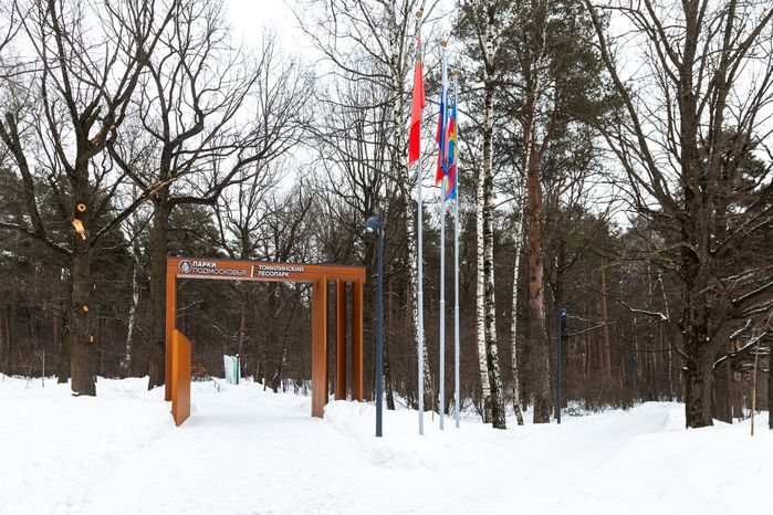 Томилинский лесопарк зимой в городе Дзержинский округа Люберцы
