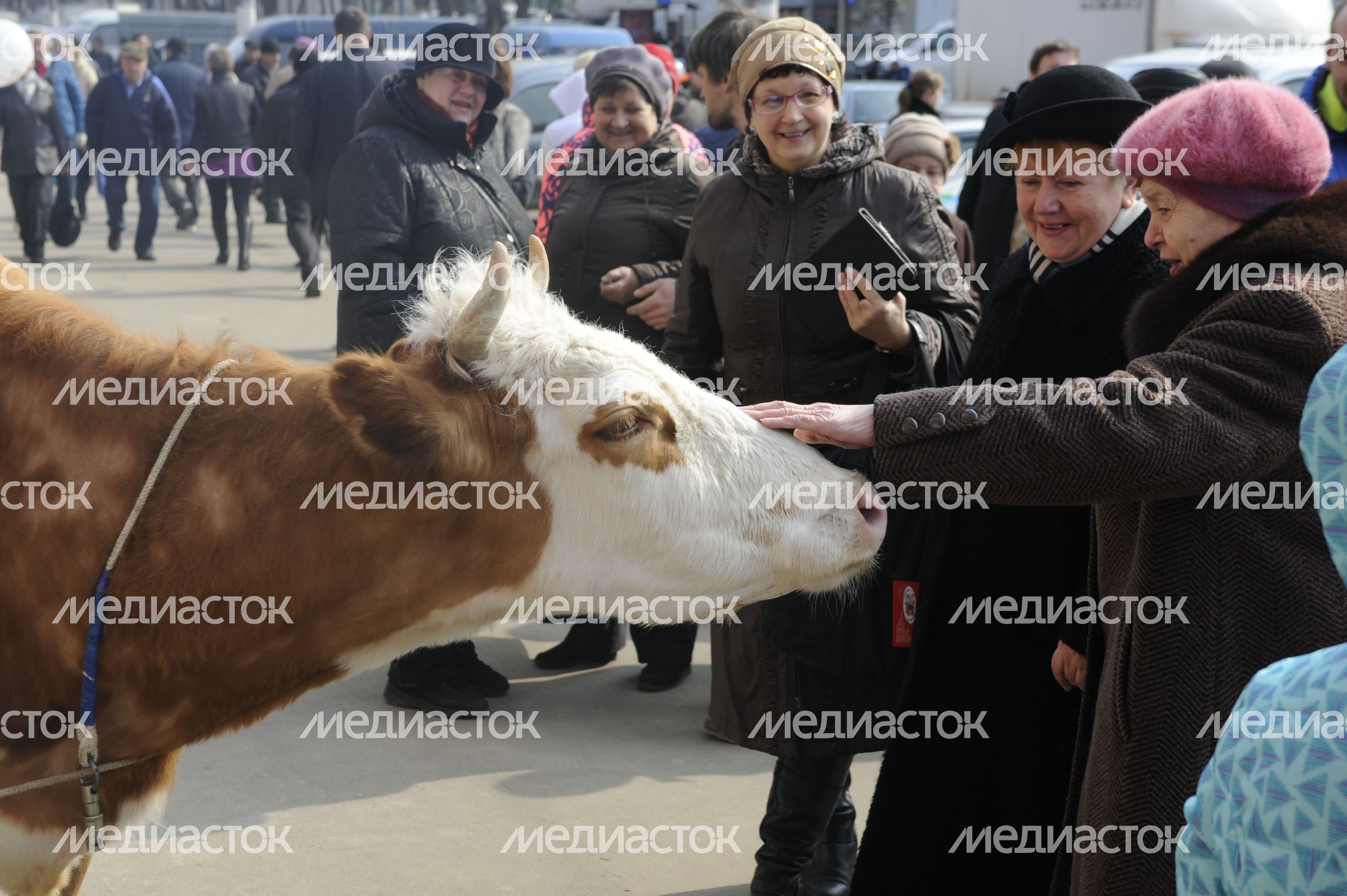 Открытие Москворецкого рынка в Москве