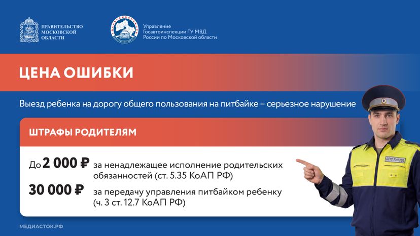 Что такое питбайк горизонталь 08