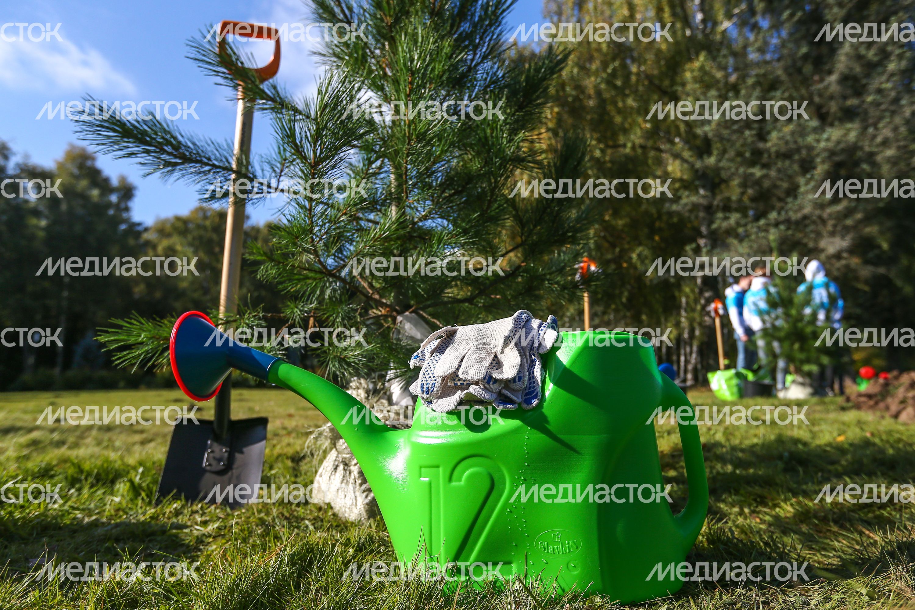 Участие Андрея Воробьева в экологической акции «Наш лес. Посади свое дерево» в Звёздном городке