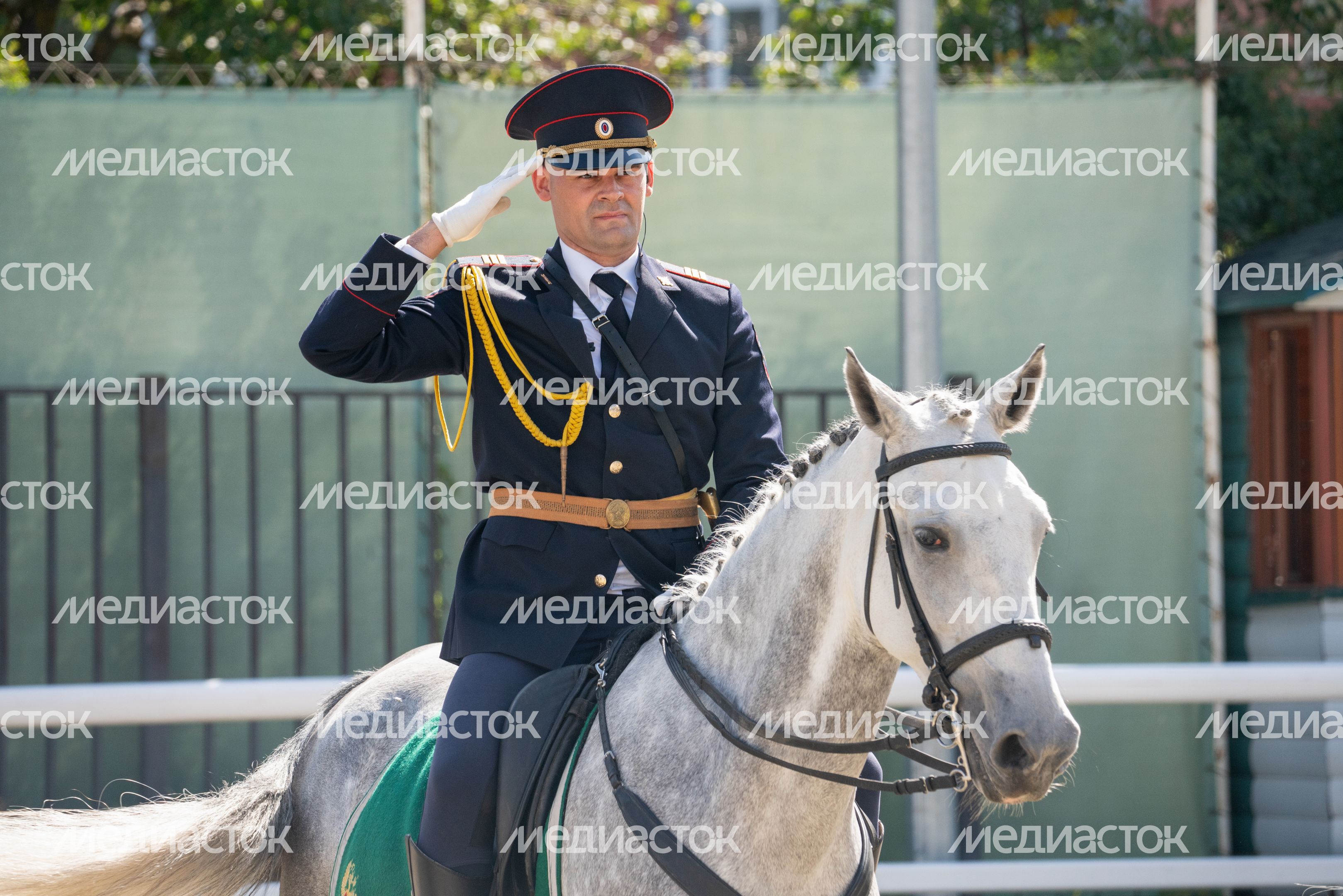IV Чемпионат русских троек «Крылатое сердце России» в Одинцовском округе IV Чемпионат русских троек «Крылатое сердце России» в Одинцовском округе