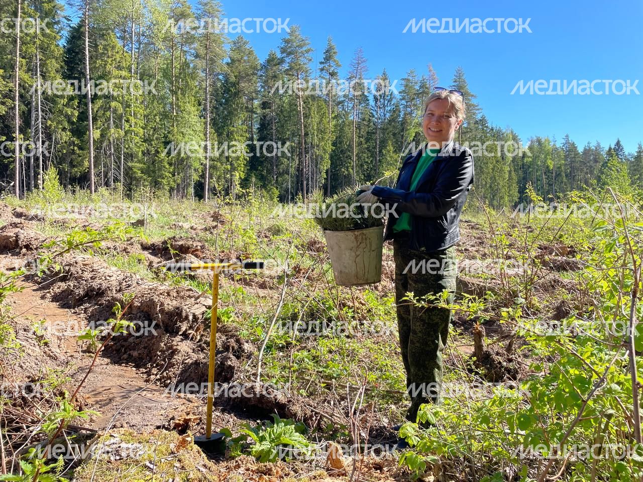Настроение "Лес Будущего"-2024