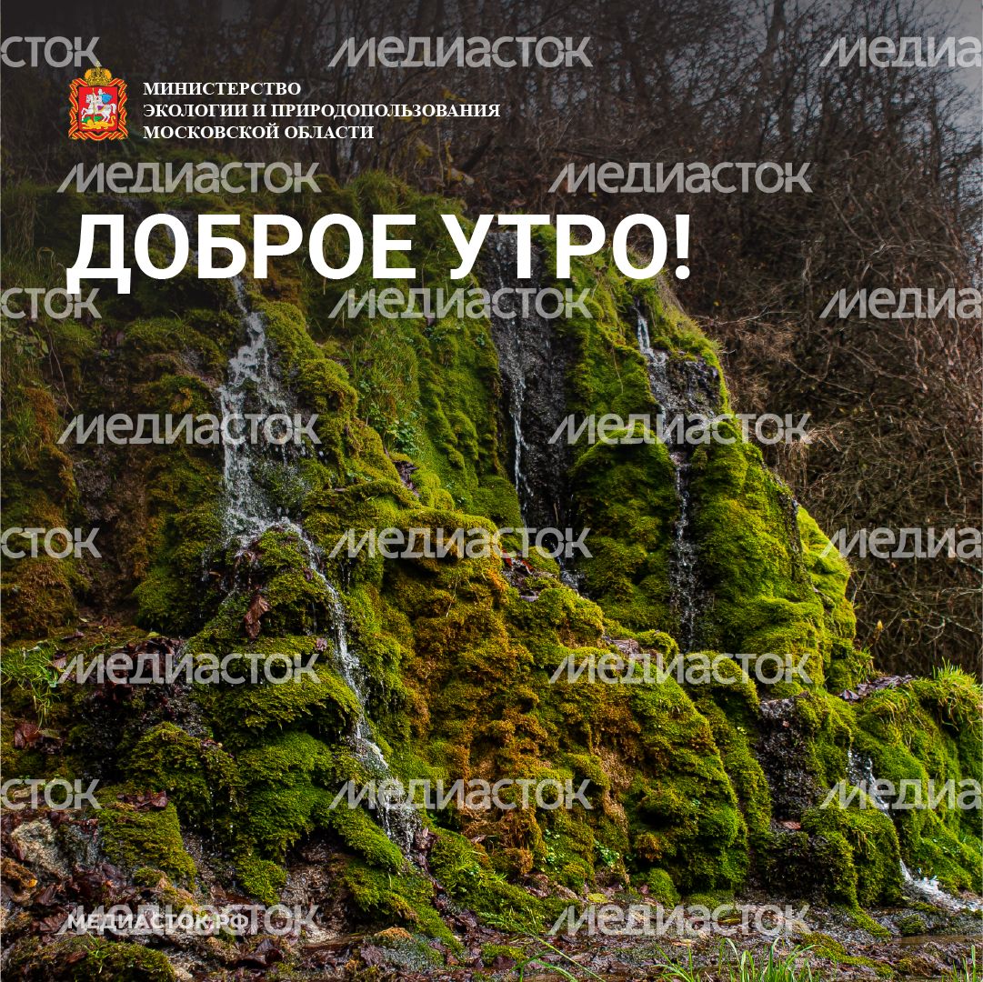 Доброе утро квадрат 01
