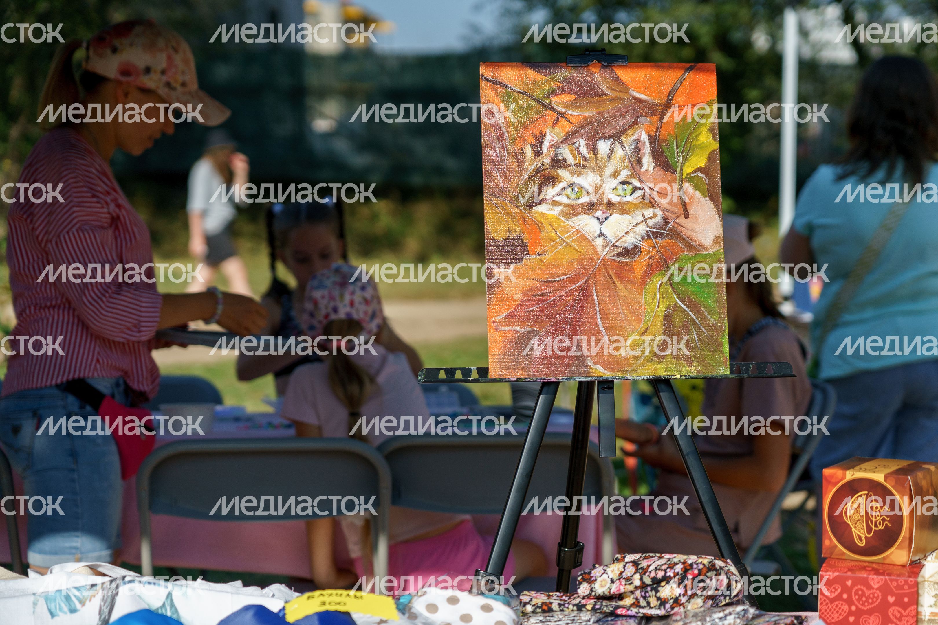 День города Люберцы в Центральном парке День города Люберцы в Центральном парке