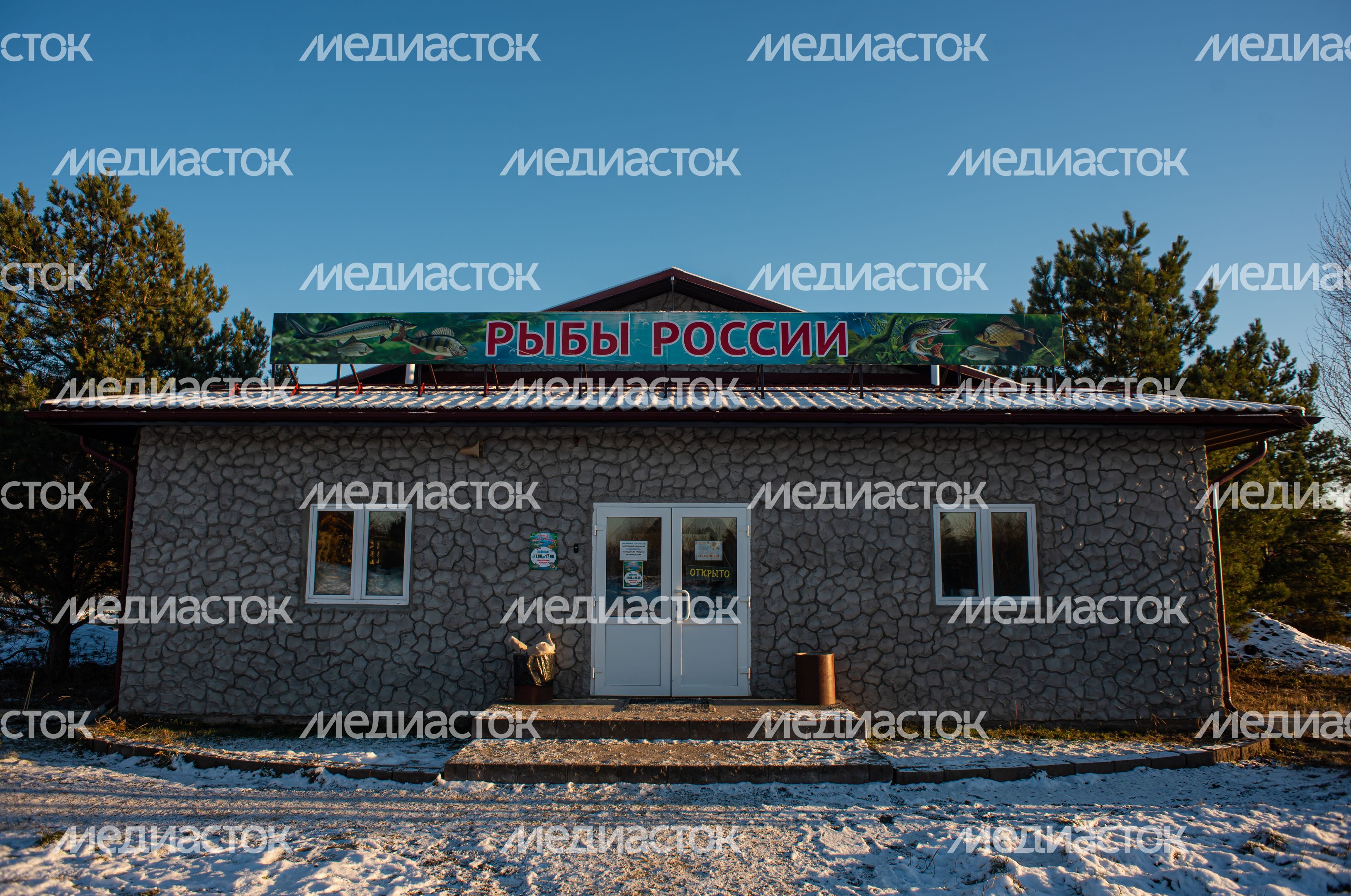 Зимний Парк Птиц «Воробьи»