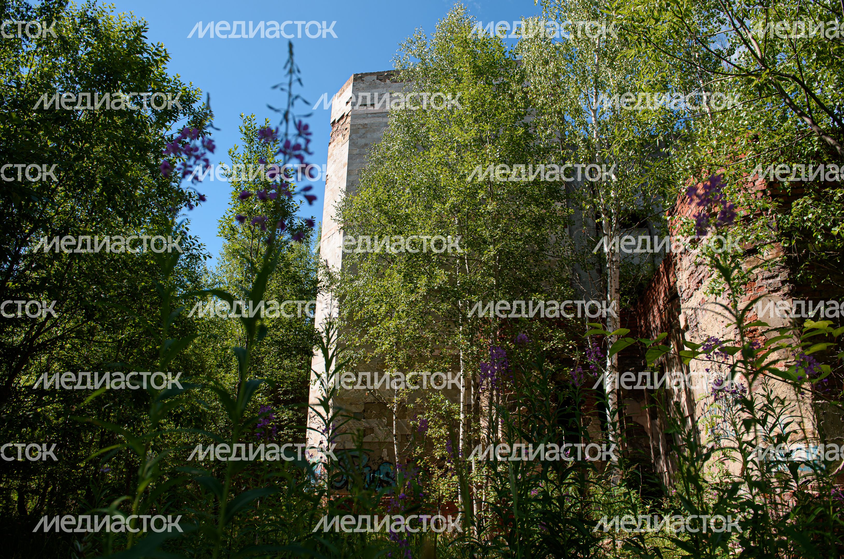 Недостроенная больница в Хотьково