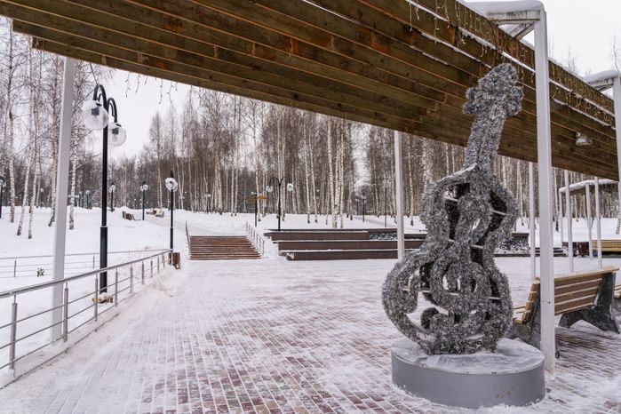 Клин. Парк культуры и отдыха «Сестрорецкий». Зима