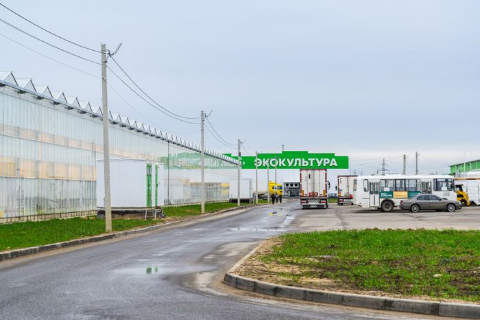 Тепличный комплекс «Подмосковье» в городском округе Воскресенск