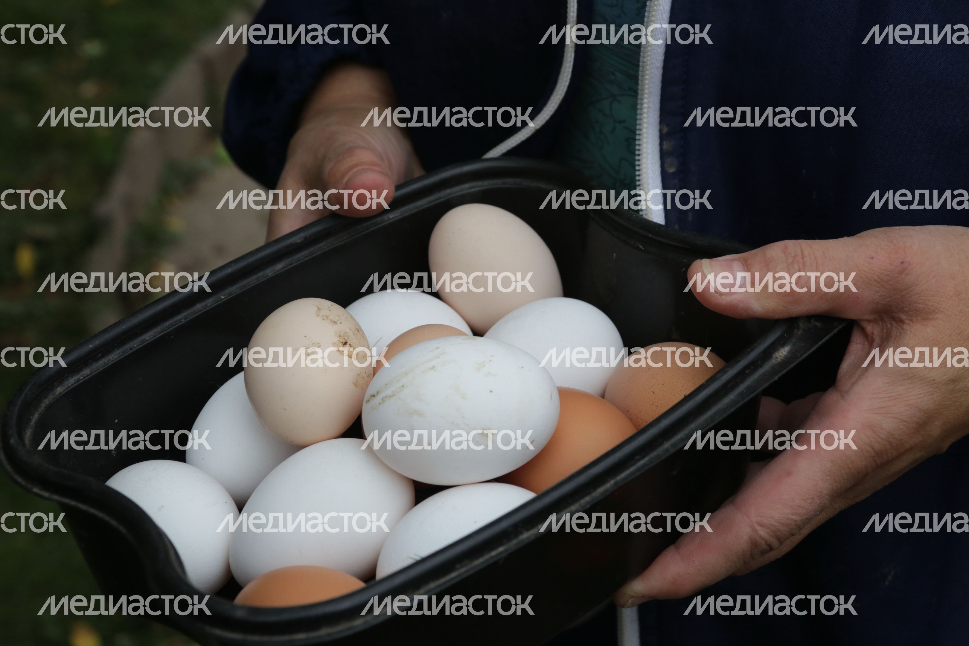Частная птицеферма в Каширском районе