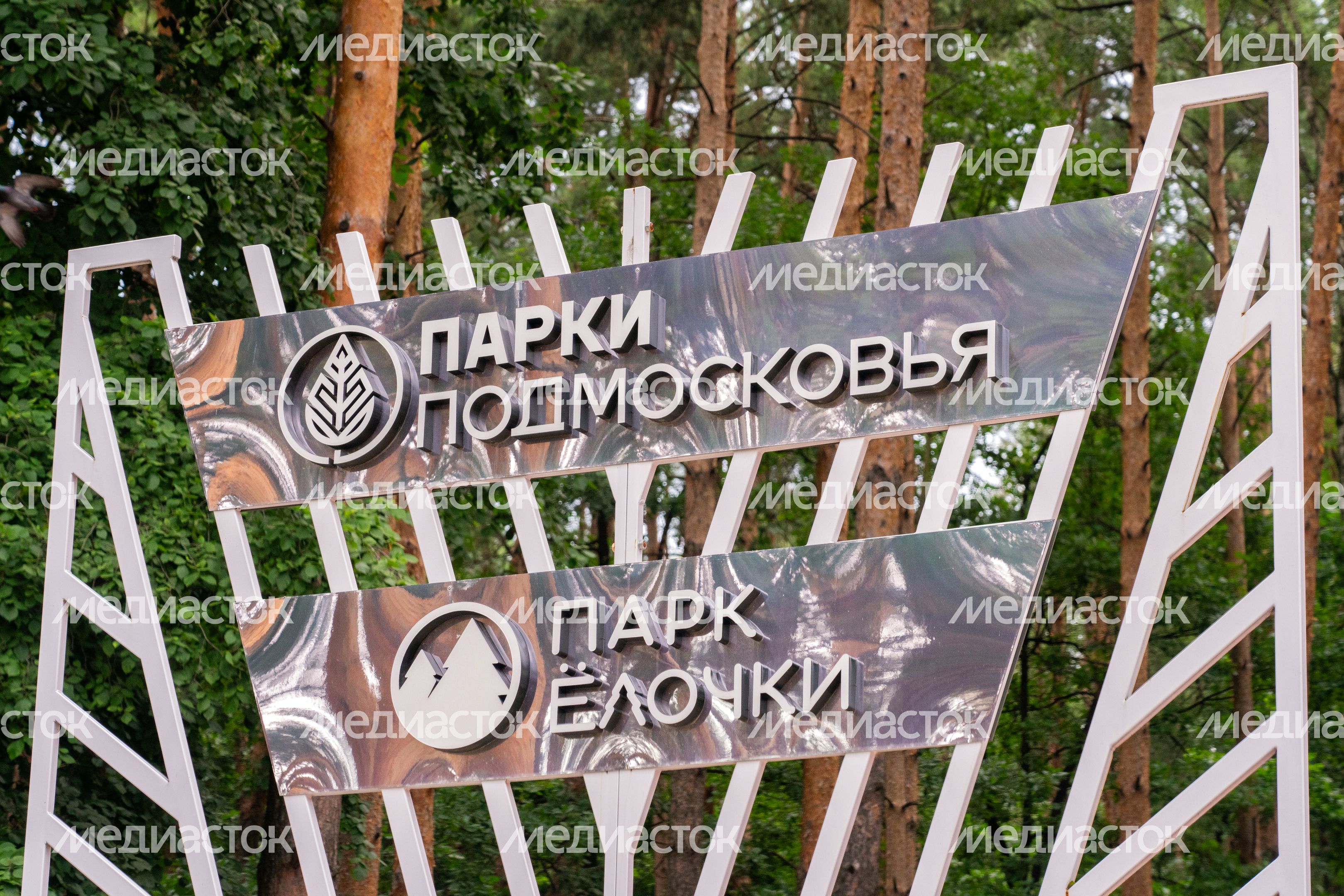 Лето в парке культуры и отдыха «Елочки» в Домодедово