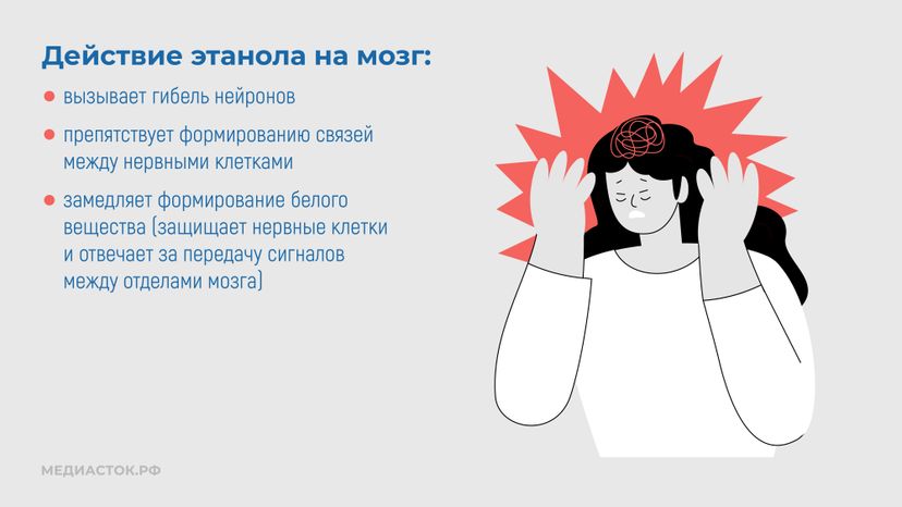 Алкоголь и развитие мозга горизонталь 05