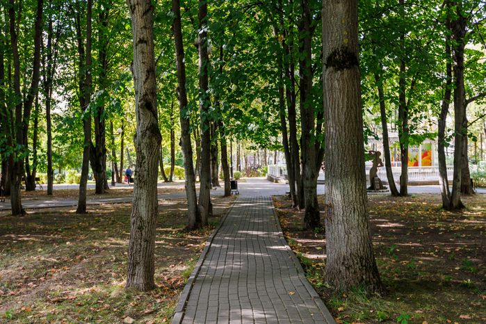 Дорожка в Центральном парке культуры и отдыха в Лыткарино летом