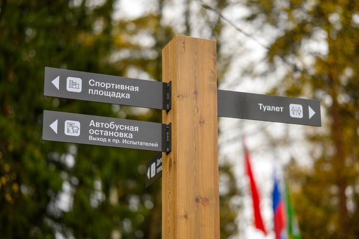 Указатель в лесопарке «Банный лес» в Красноармейске осенью