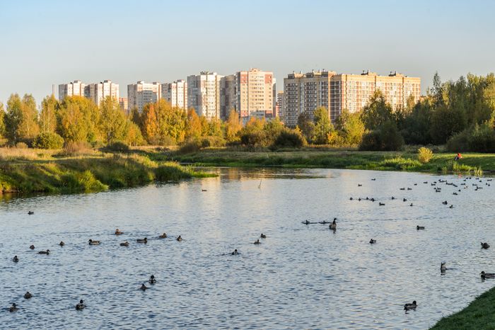 Пушкино. Парк культуры и отдыха «Ивантеевка»
