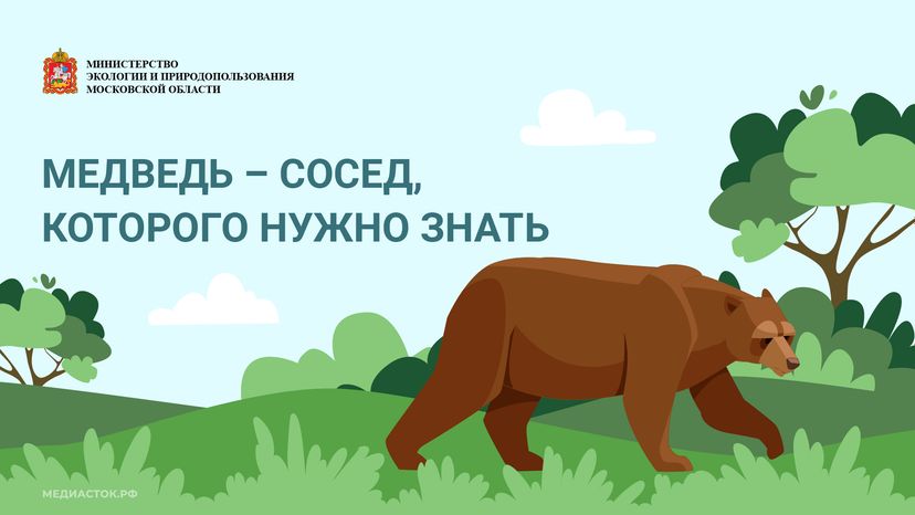 Медведь – сосед, которого нужно знать_горизонталь 01