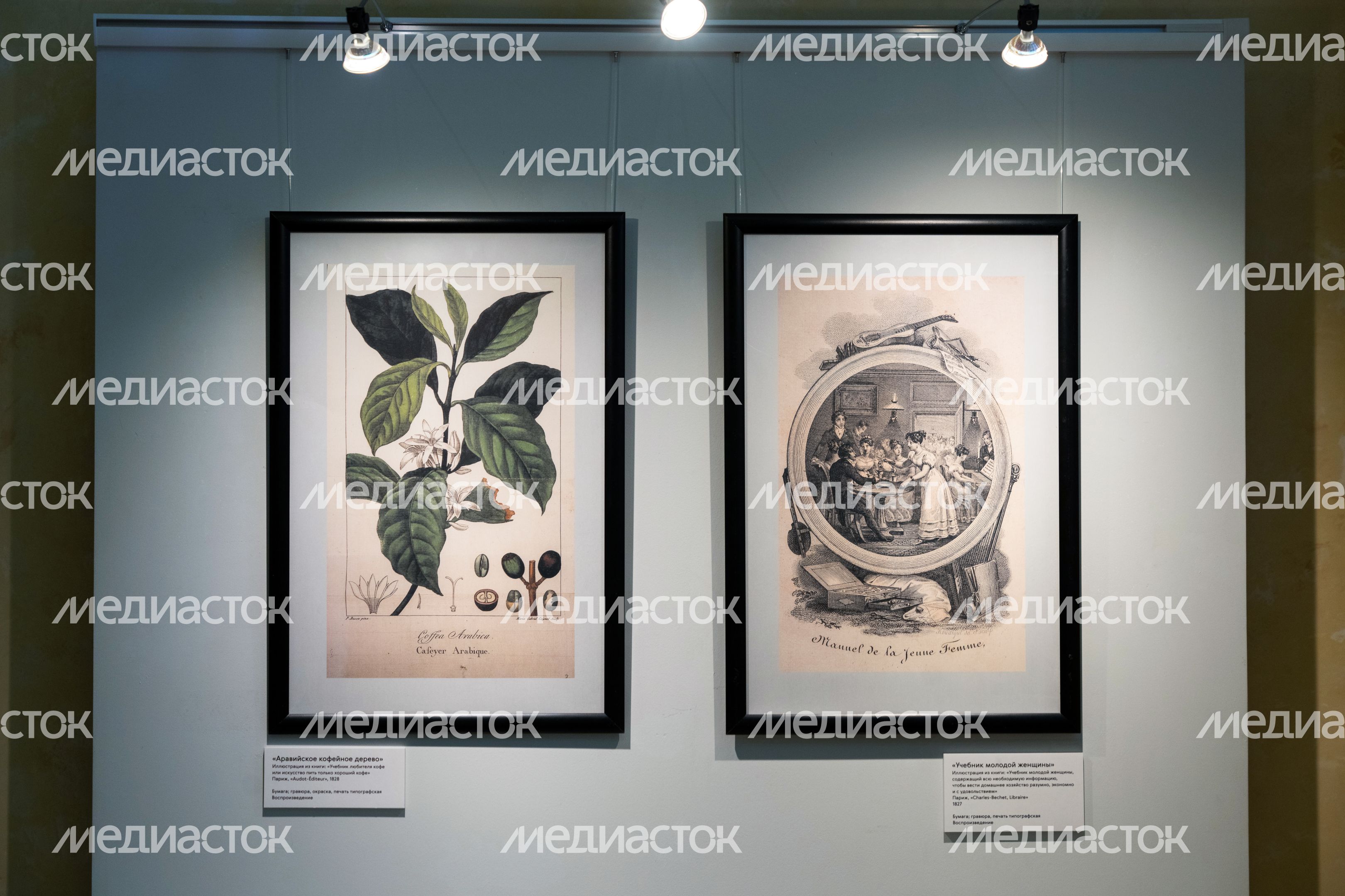 Выставка «Кодекс гурмана» в музее-заповеднике «Архангельское» Выставка «Кодекс гурмана» в музее-заповеднике «Архангельское»