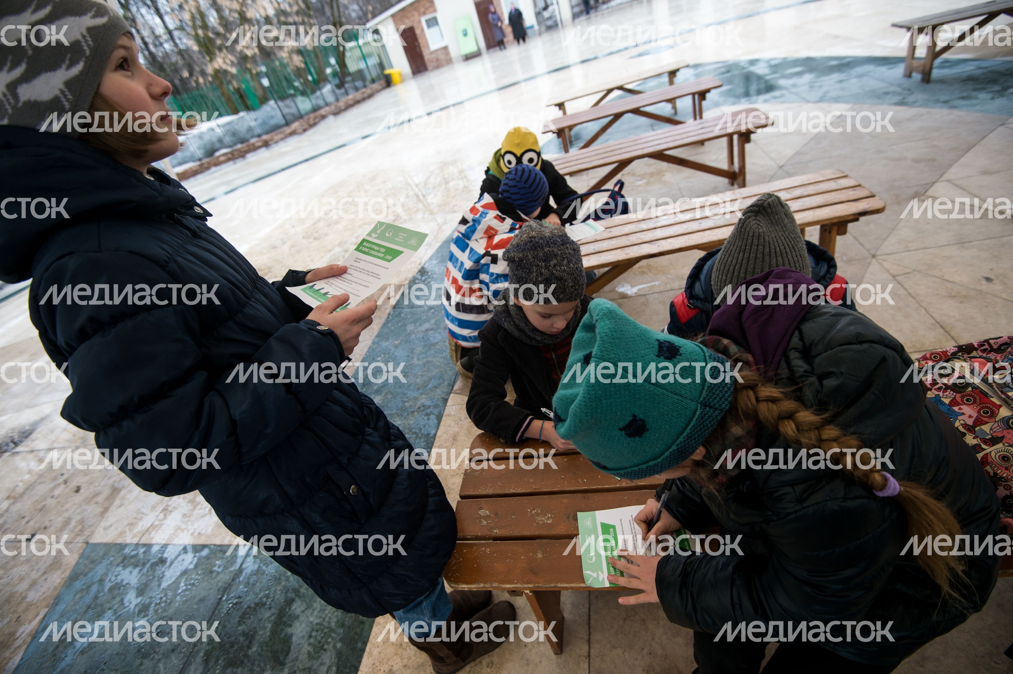 Выбор птицы года в парке Сокольники в Москве Выбор птицы года в парке Сокольники в Москве