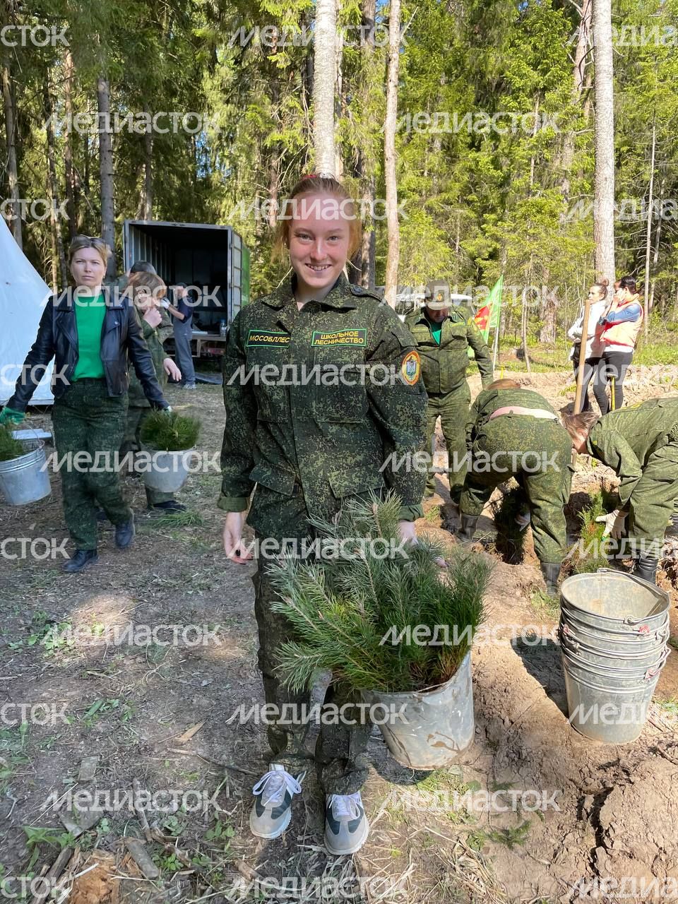 Настроение "Лес Будущего"-2024