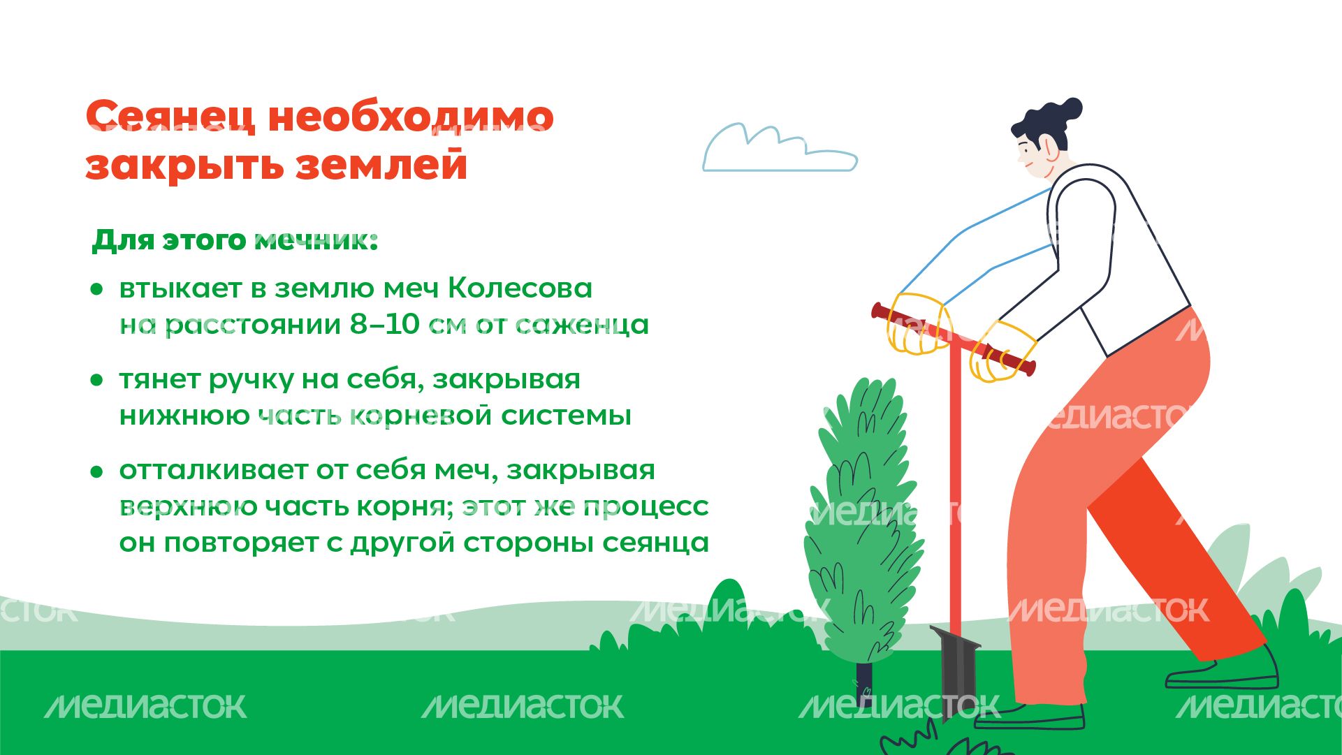 Горизонталь_ меч Колесова_05-100.jpg