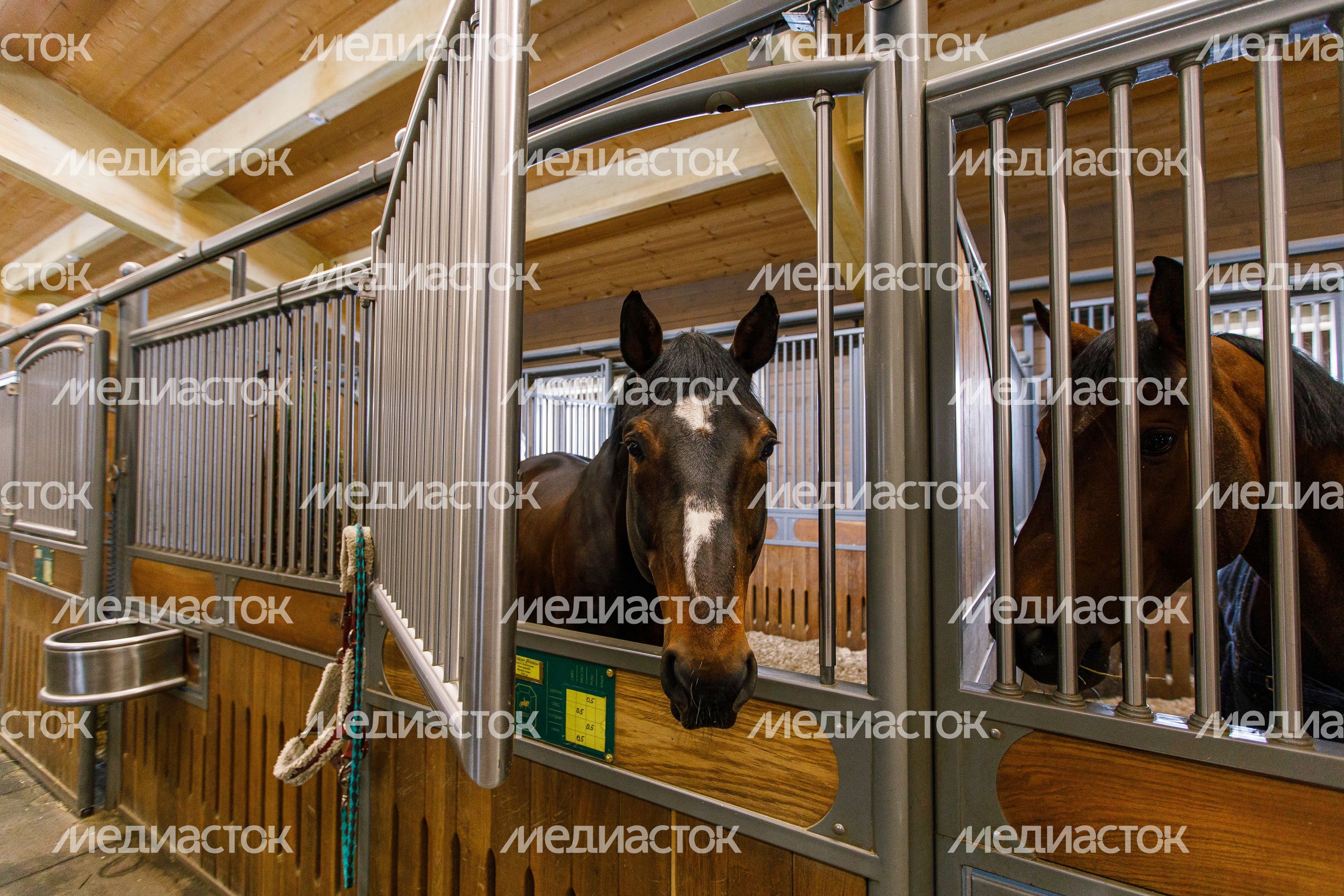 Конноспортивный комплекс Emerald Stables в Клину