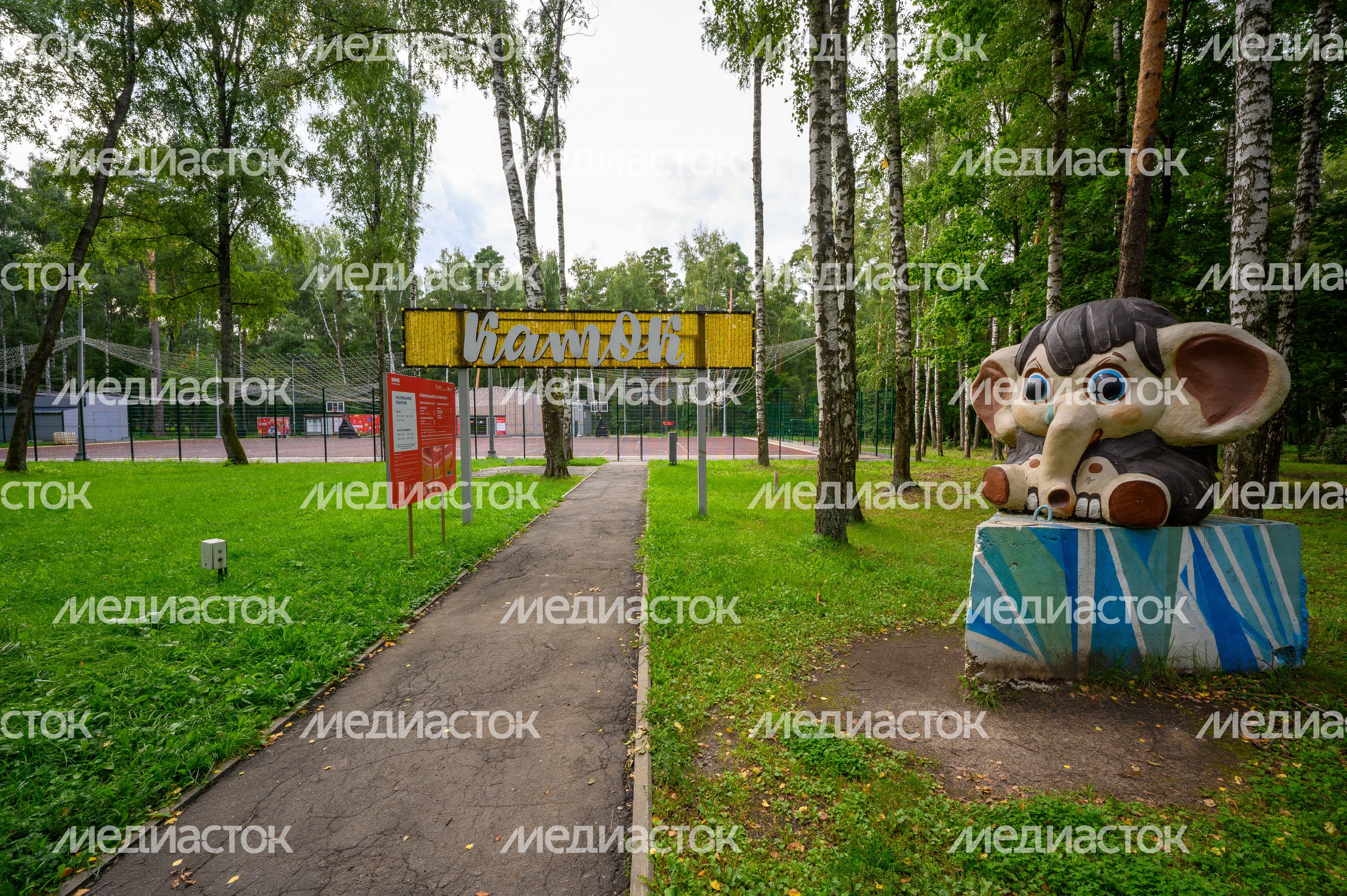 Центральный парк культуры и отдыха в Ногинске Богородского округа Центральный парк культуры и отдыха в Ногинске Богородского округа