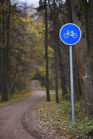 Измайловский парк в Москве
