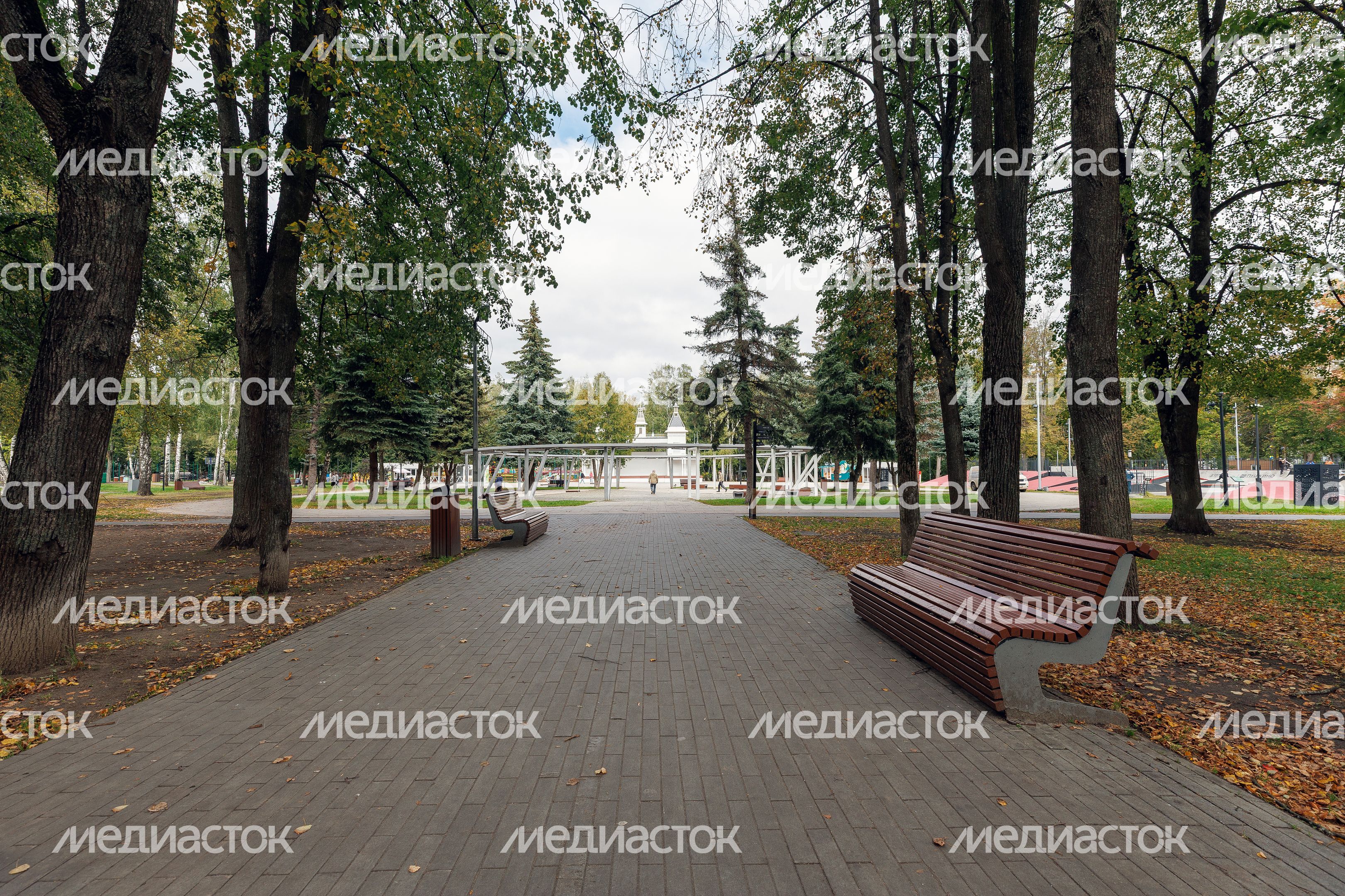 Центральный парк культуры и отдыха Пушкино Центральный парк культуры и отдыха Пушкино