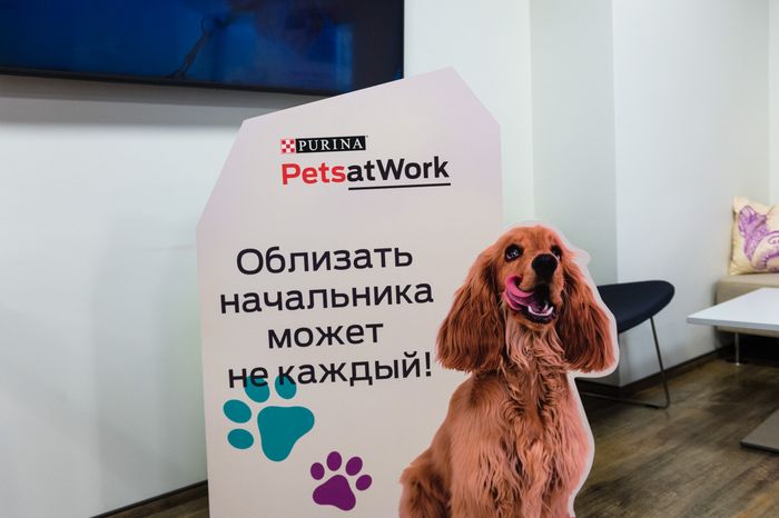 Pet‑friendly офис Purina