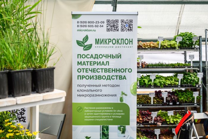 Международная выставка посадочного материала для профессионалов зеленой отрасли 2024 в Раменском округе