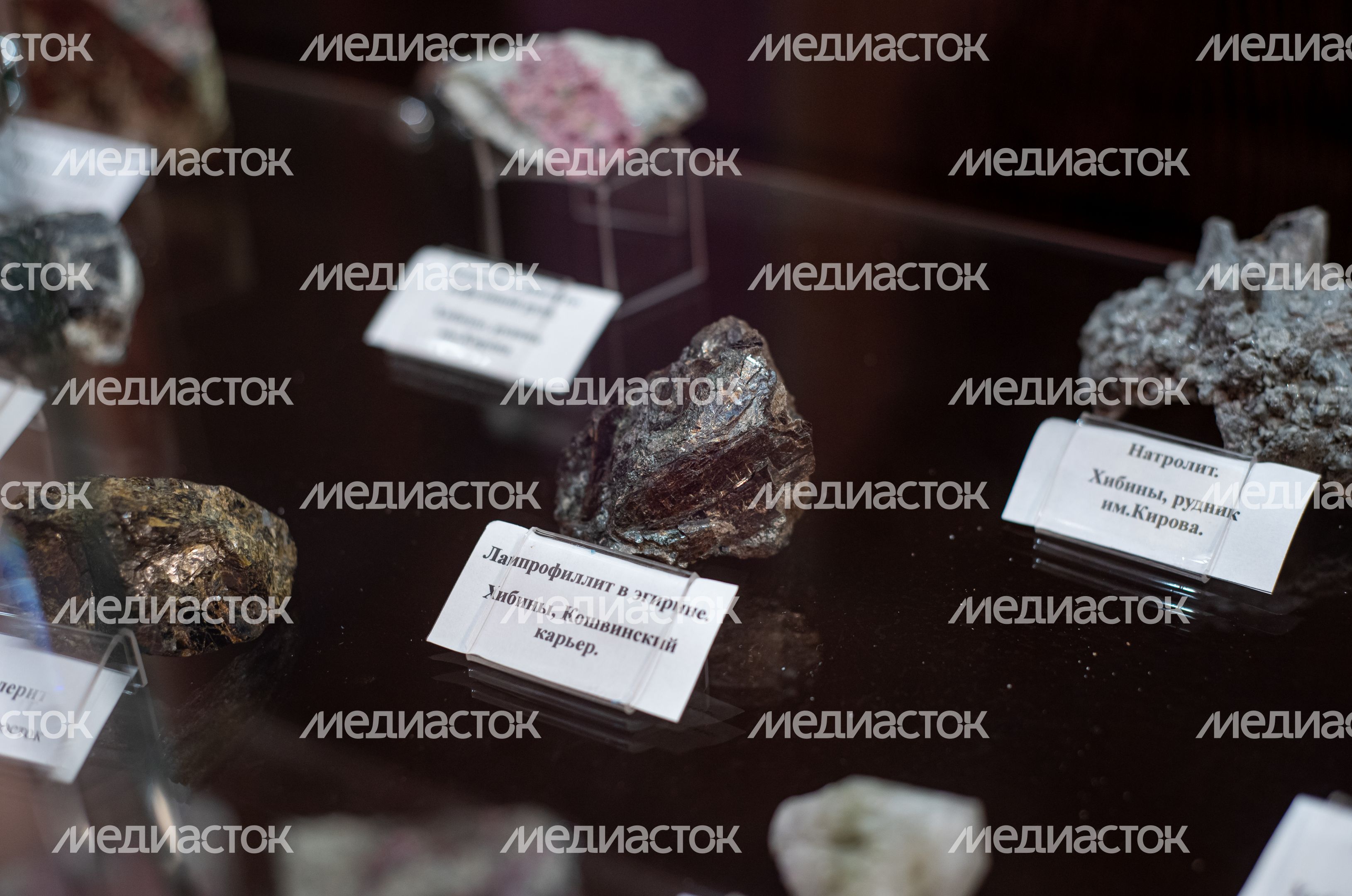 Музей Телешова и Кабинет минералов и окаменелостей в Пантелеимоновском Благовесте
