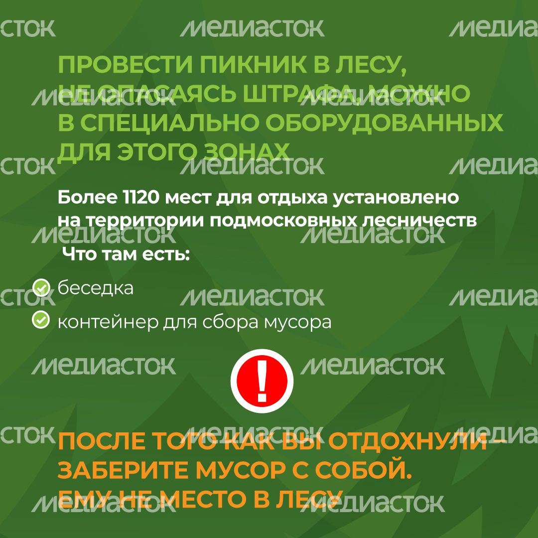комлесхоз_костер_кв_9.jpg