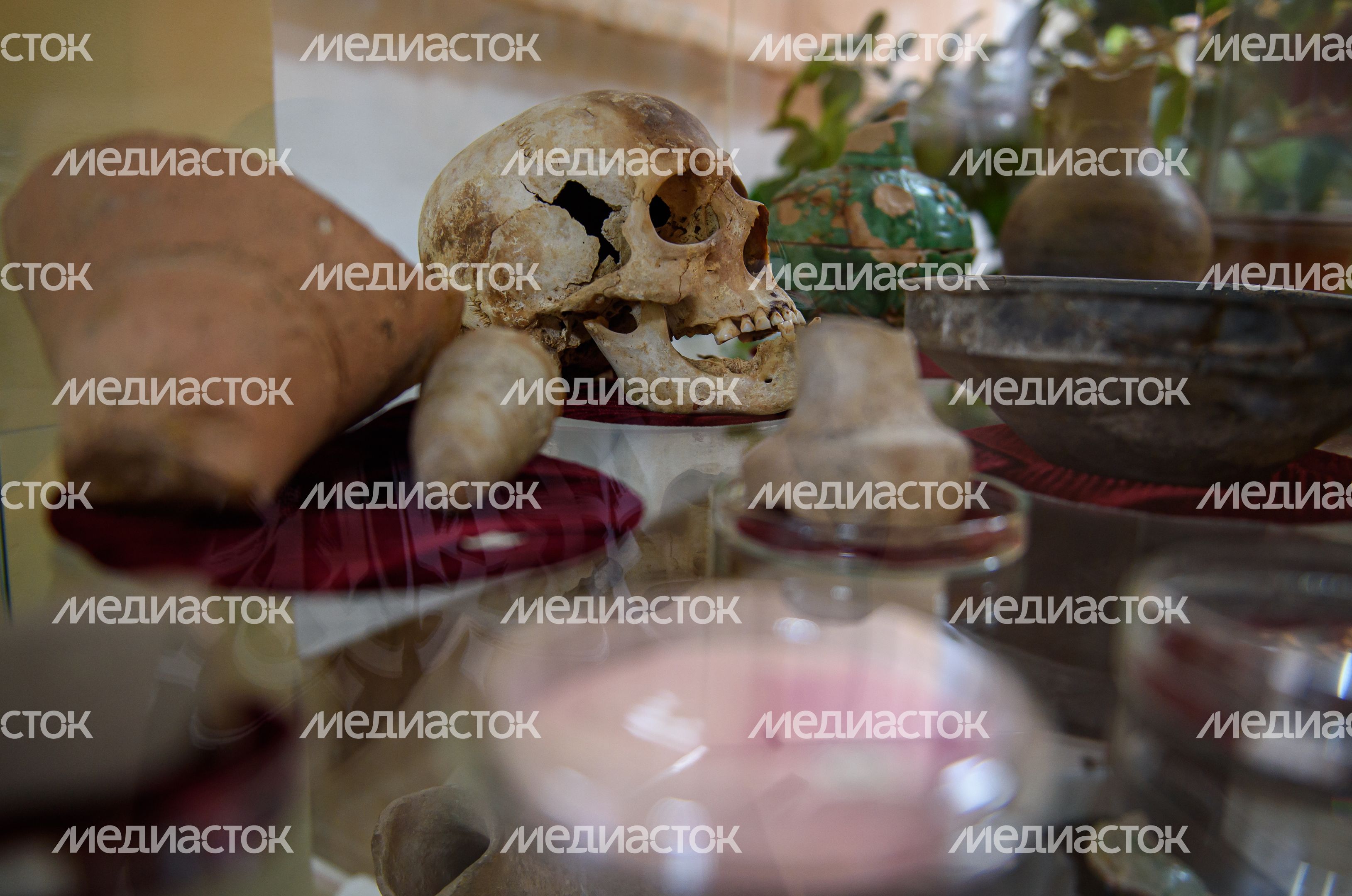 Пущинский музей экологии и краеведения