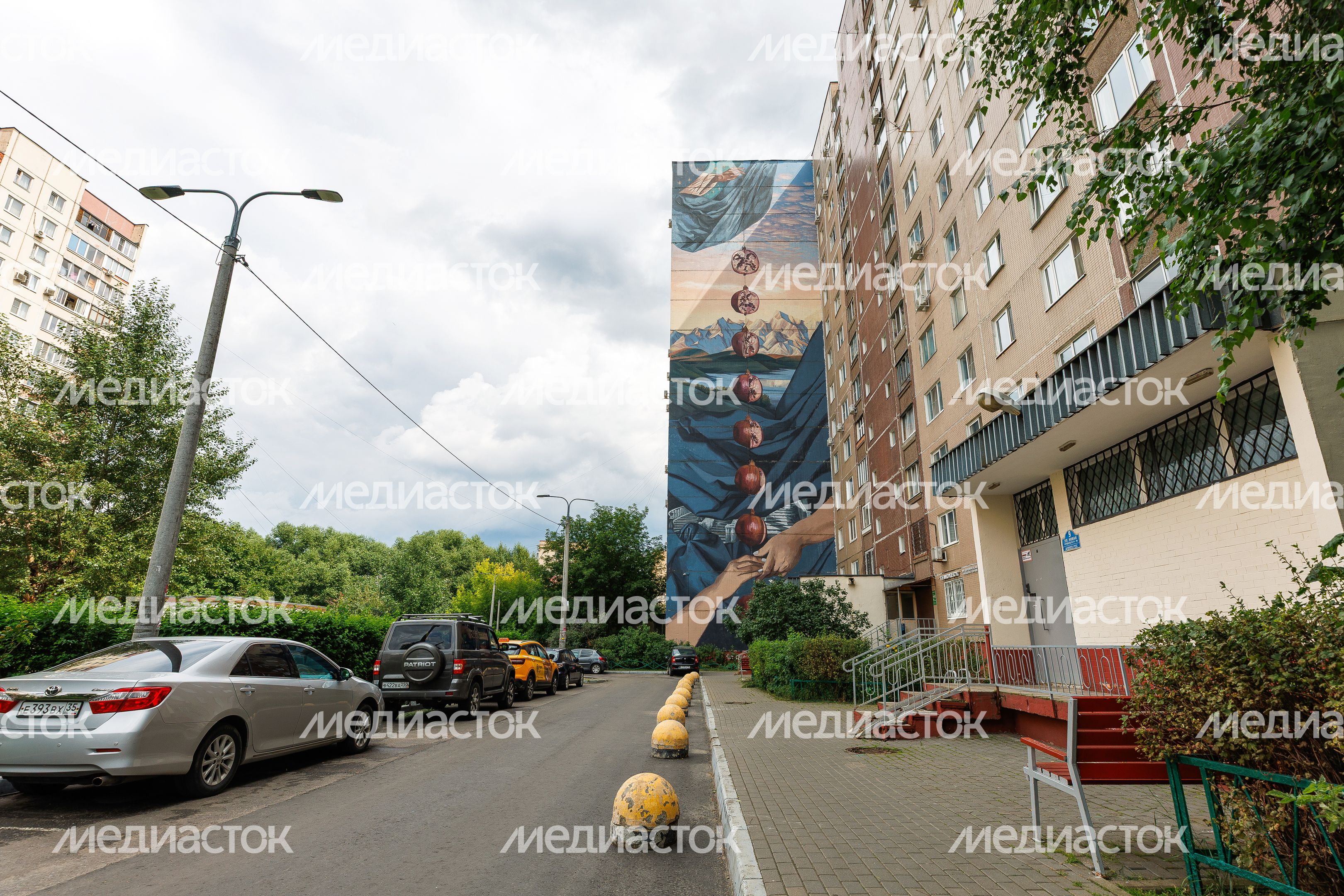 Муралы в Железнодорожном, Балашиха
