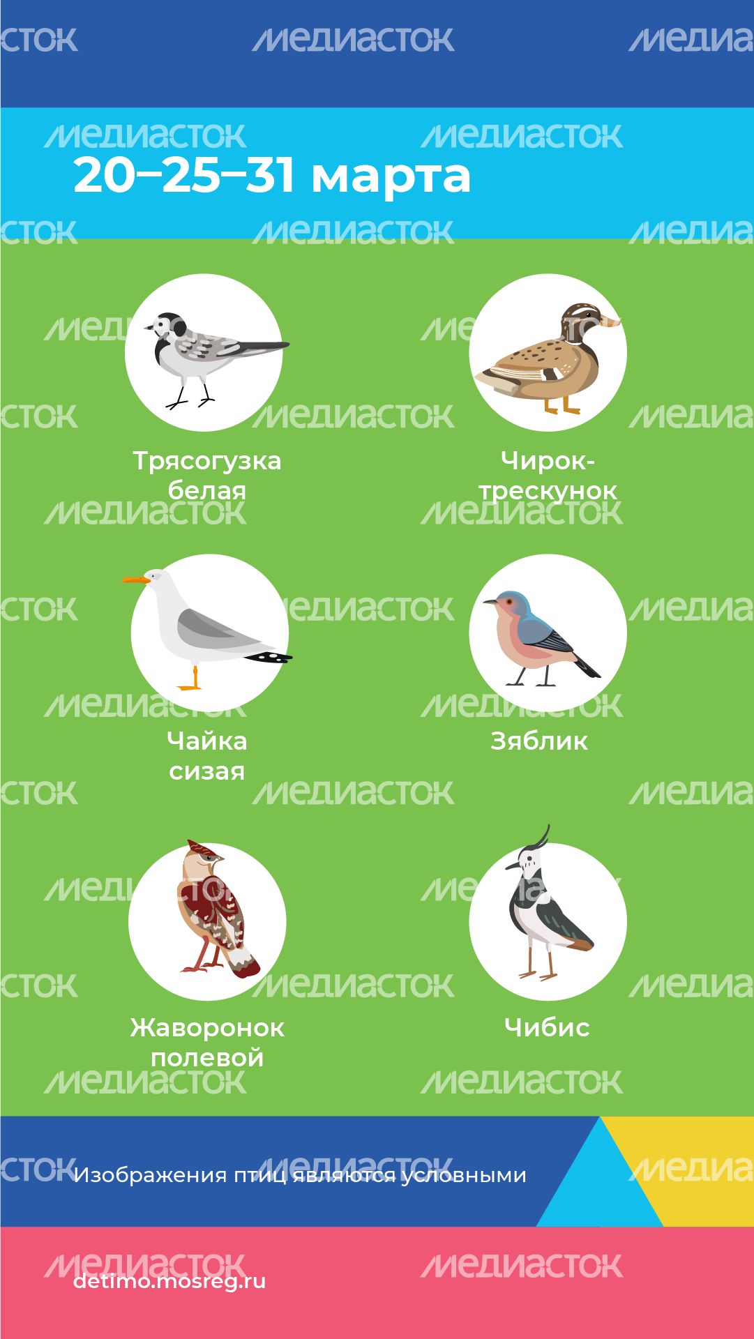 весна летит - вертикаль - 04