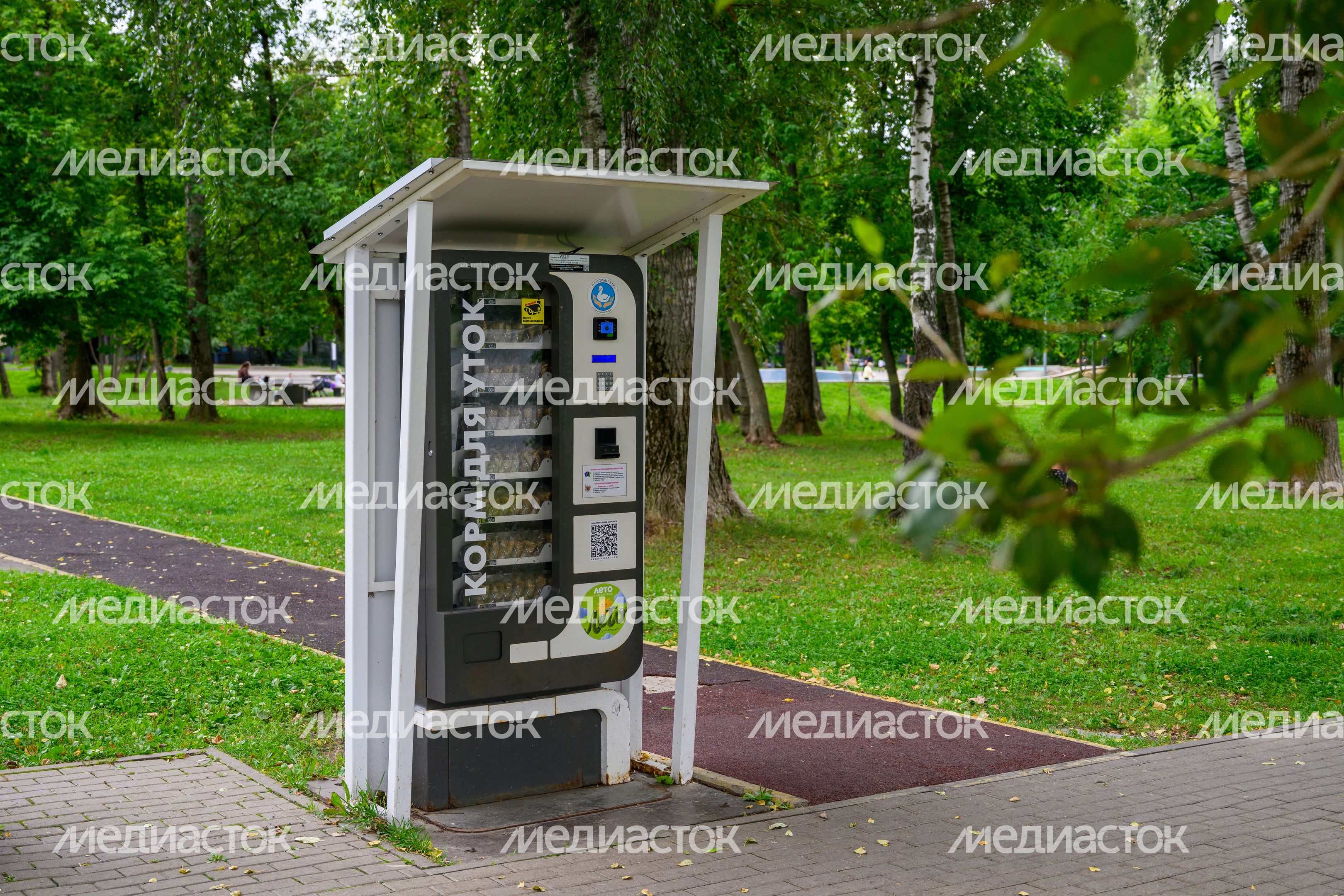 Парк "Заречная" в Балашихе