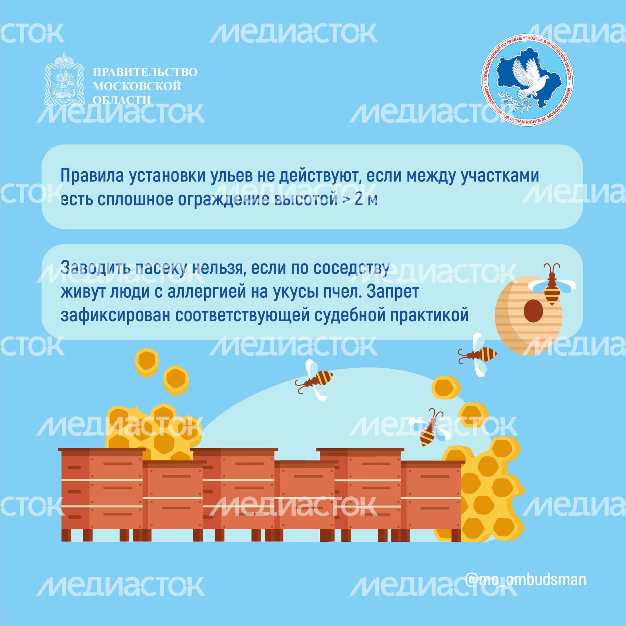 Квадрат Вопрос-ответ. Пчеловодство-04.jpg