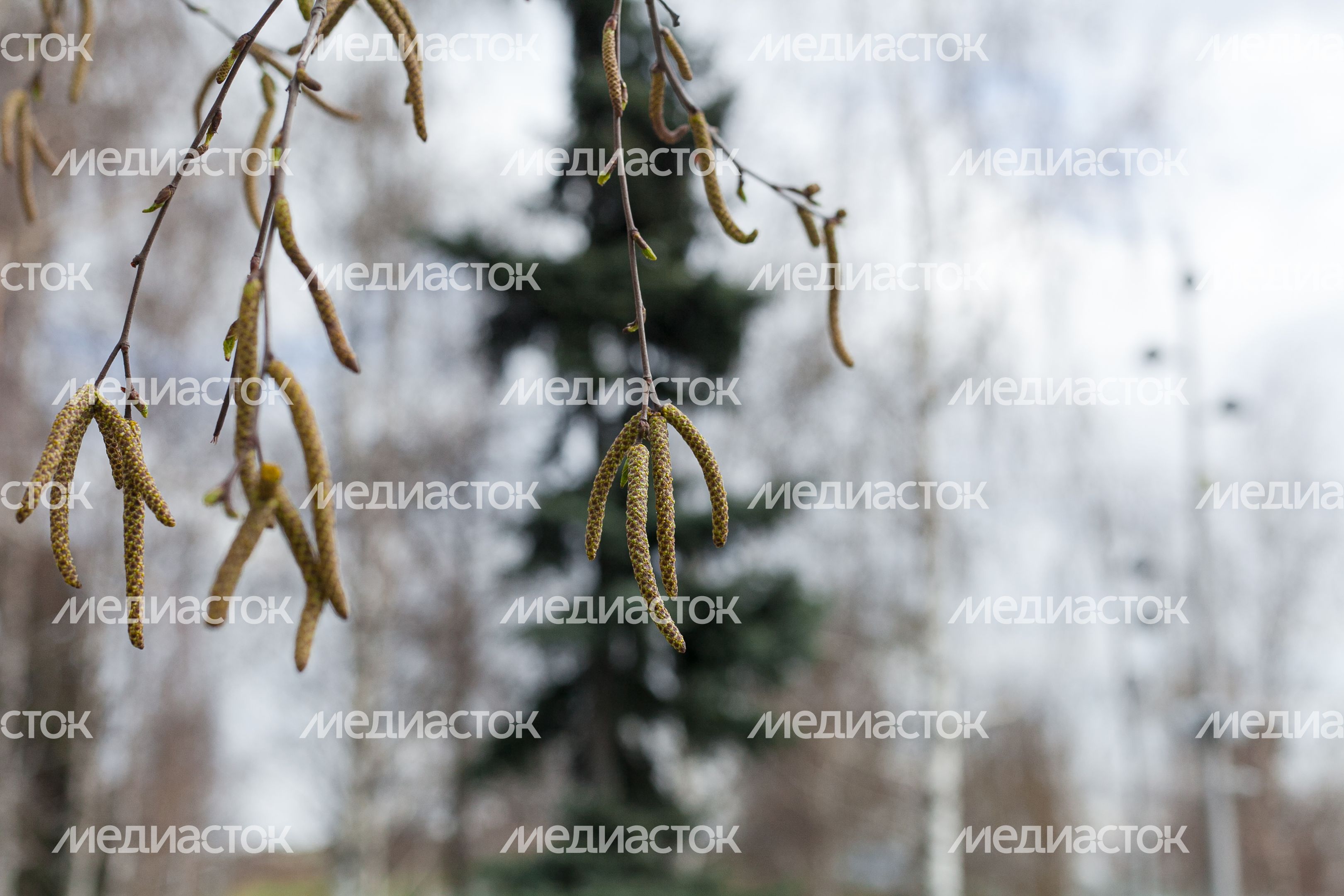 Весна в городе Дзержинский
