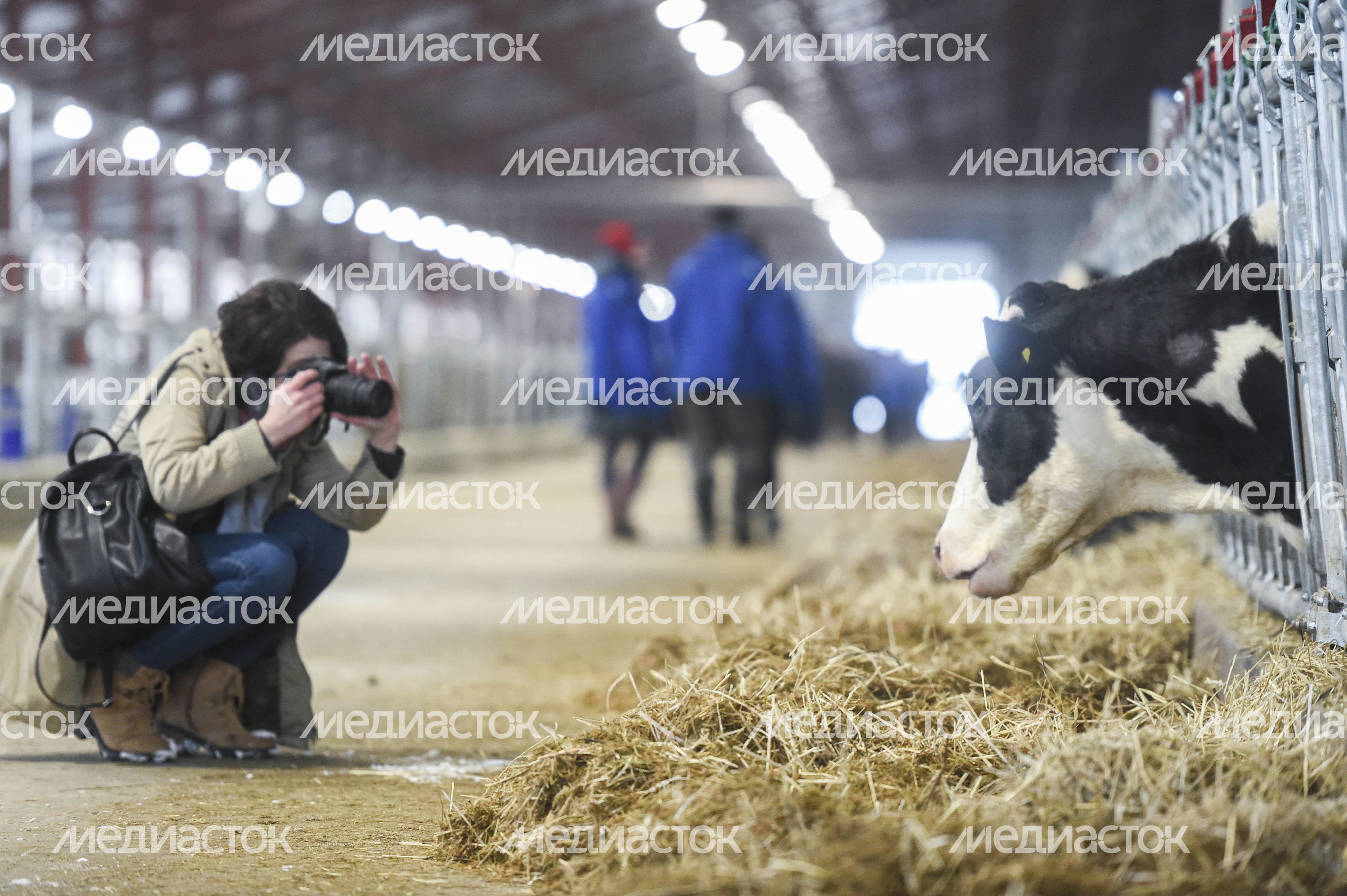 Открытие нового молочного комплекса TH True Milk в Подмосковье, 2 часть