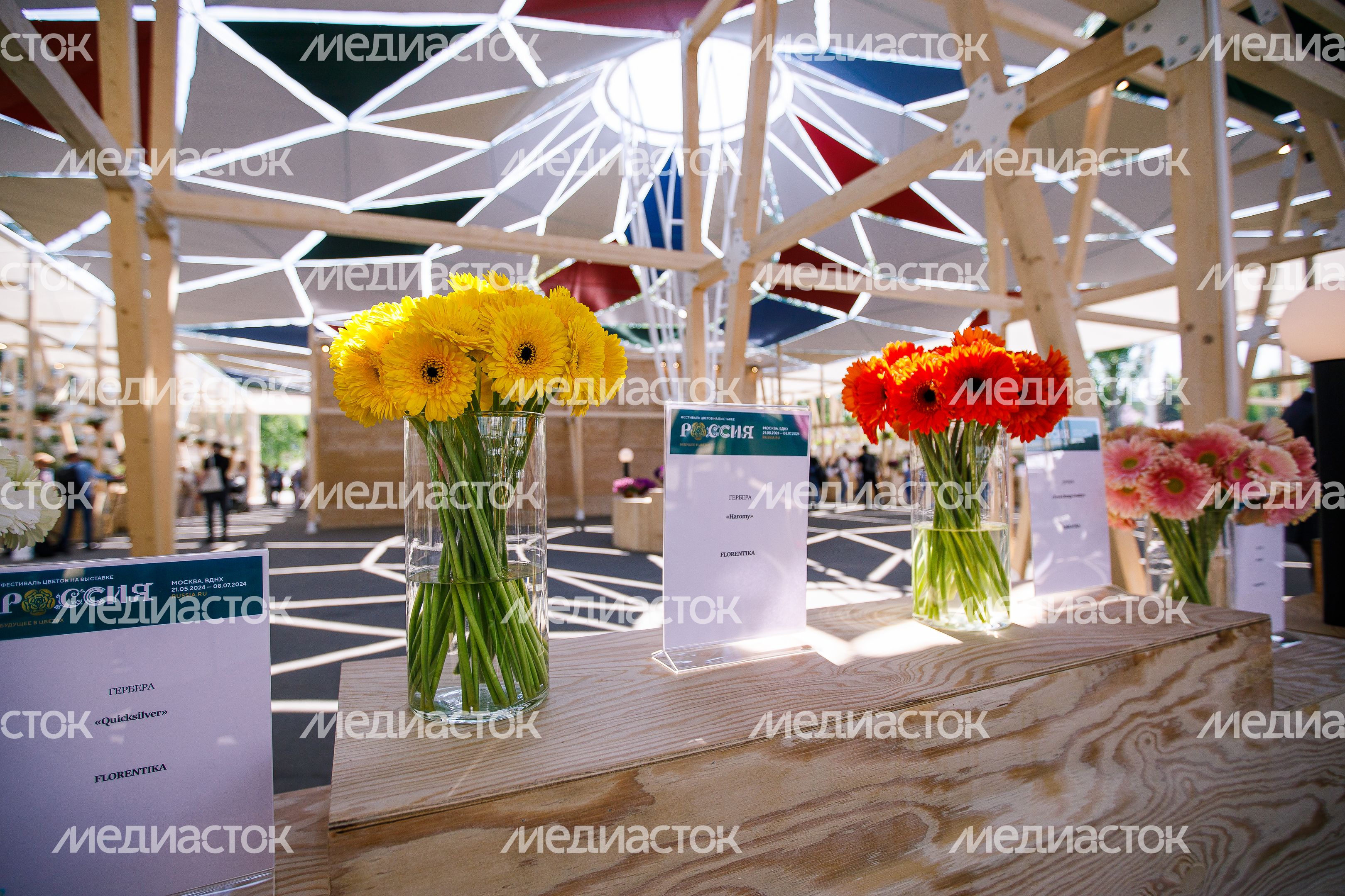 Открытие фестиваля "Будущее в цветах" на выставке "Россия" на ВДНХ Открытие фестиваля "Будущее в цветах" на выставке "Россия" на ВДНХ