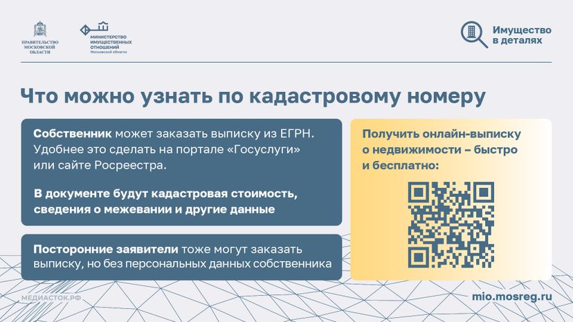 Что такое кадастровый номер участка горизонталь 05