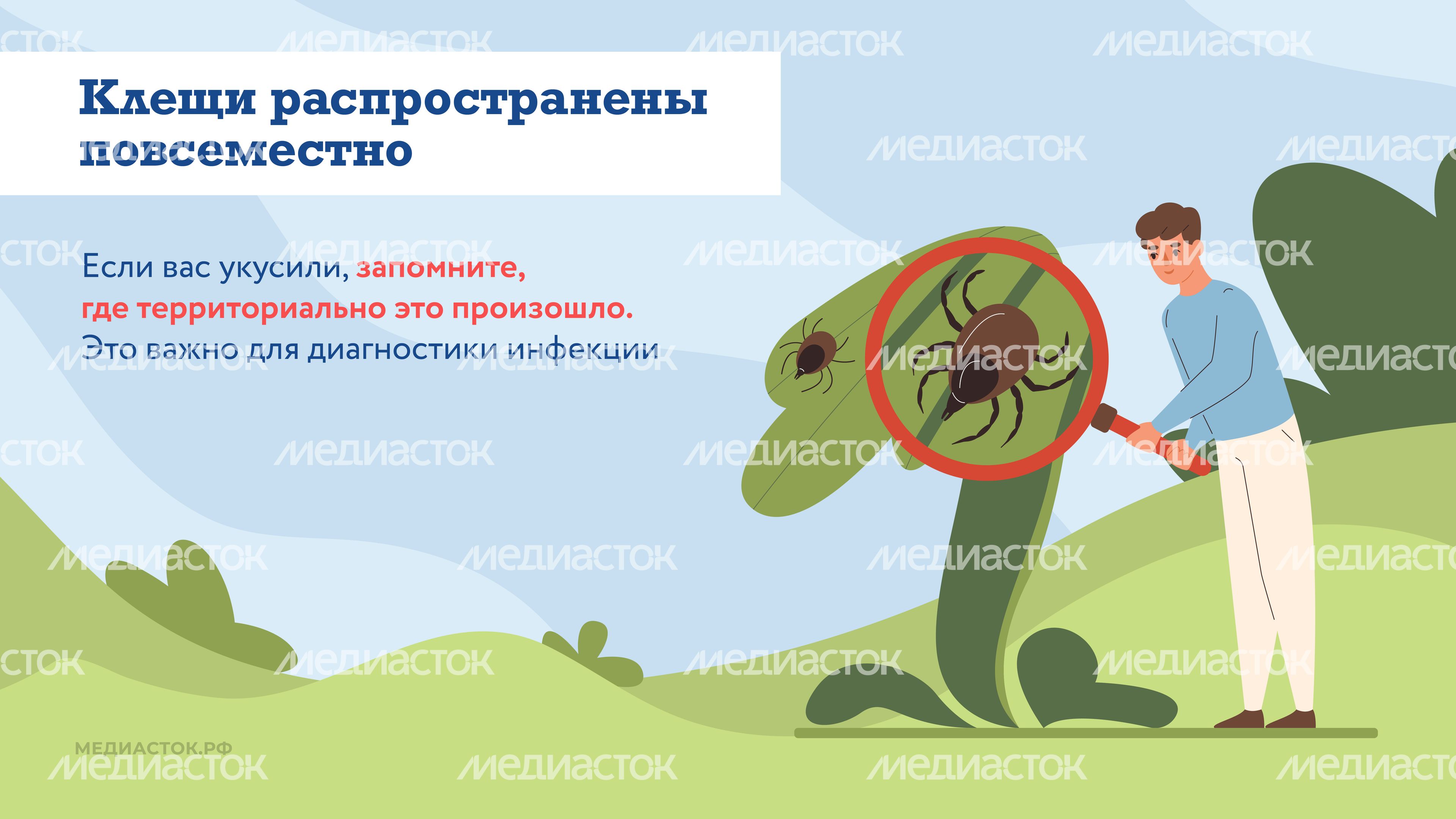 Как защититься от клещей горизонталь 04 Как защититься от клещей горизонталь 04